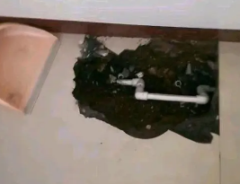 留坝卫生间测漏水多少钱